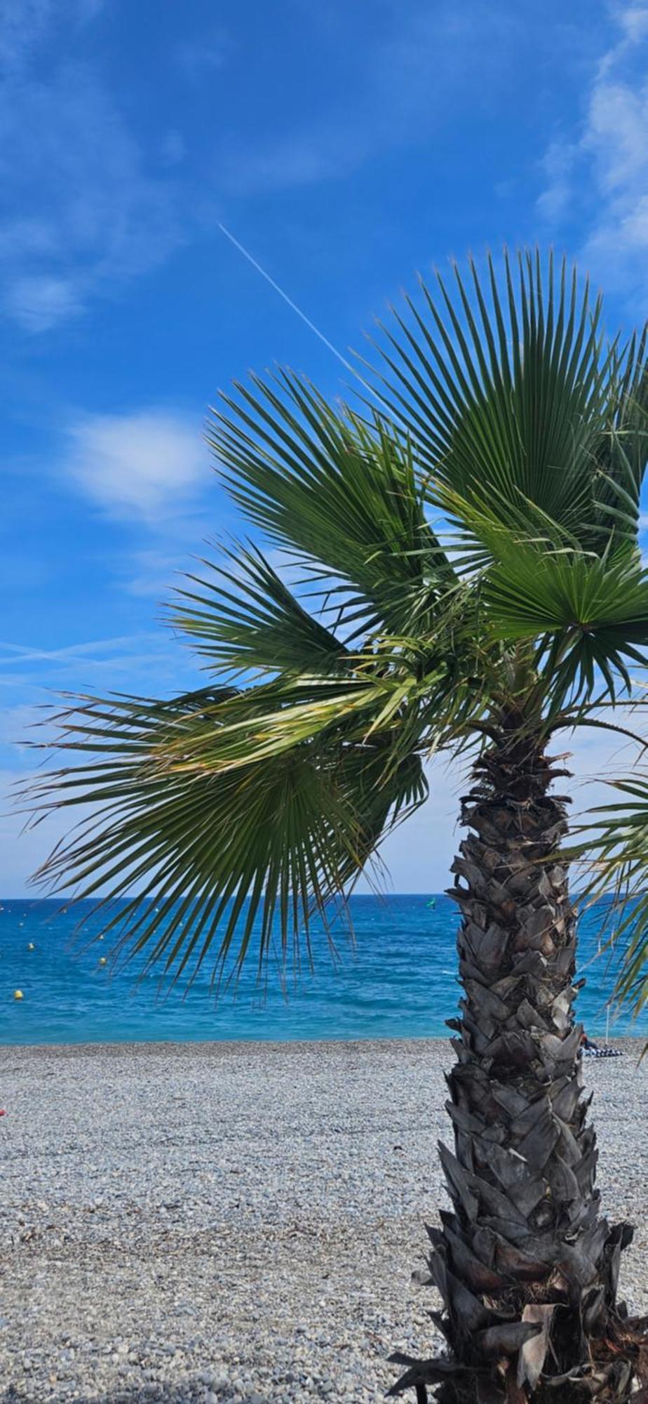 Studio Saint-Laurent-Du-Var Bord De Mer المظهر الخارجي الصورة